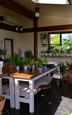 小布施 花 の店内です