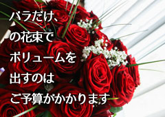 ご予算にあわせてボリュームを調節するには