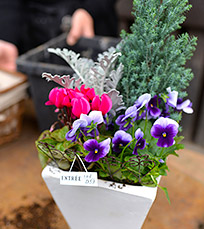 流行の寄せ植えです